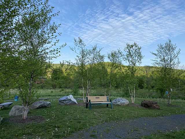 Flood Resilience and Landscape Architecture Site Tour